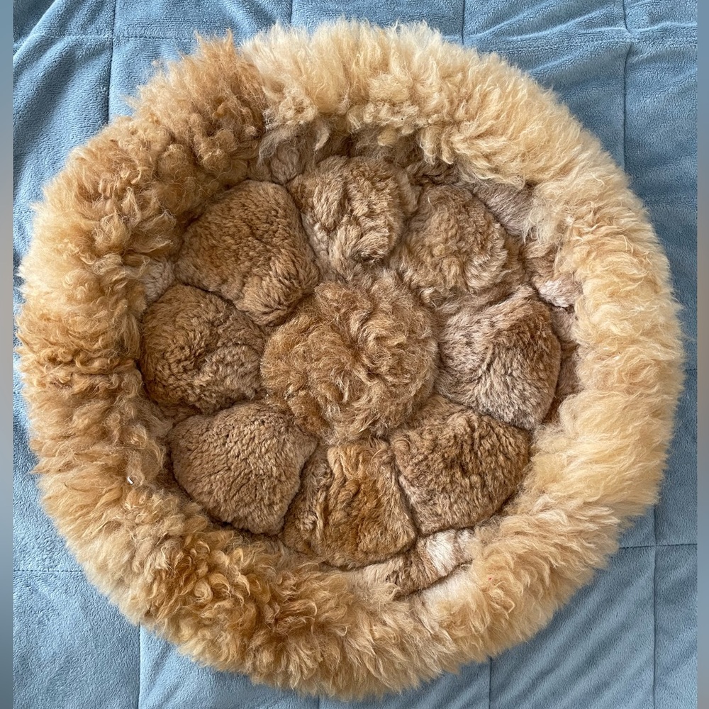 Alpaca Artisanal Throw Pillow Case